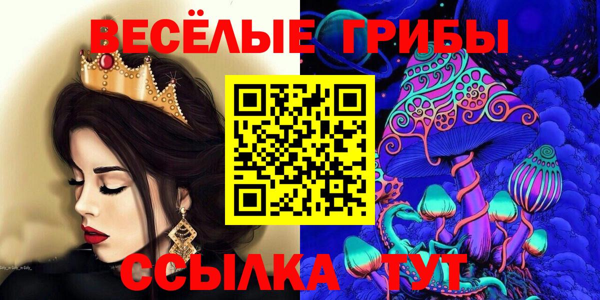 Ачинск  Псилоцибиновые грибы Magic Shrooms  купить наркотик  Вход с VPN 