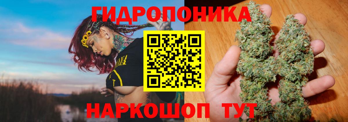 Канабис LSD WEED  Марихуана план  Шишки марихуана THC 21%  Вход с VPN  Ачинск 